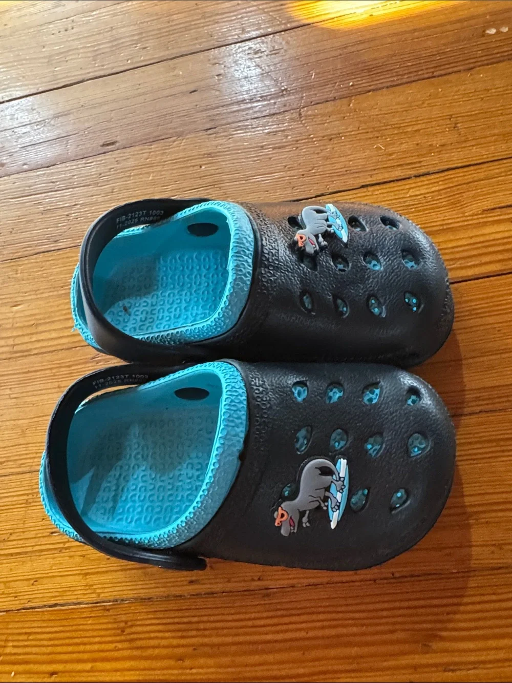 Capelli of New York Black Clogs with Teal Interior and Surf Dino stamp